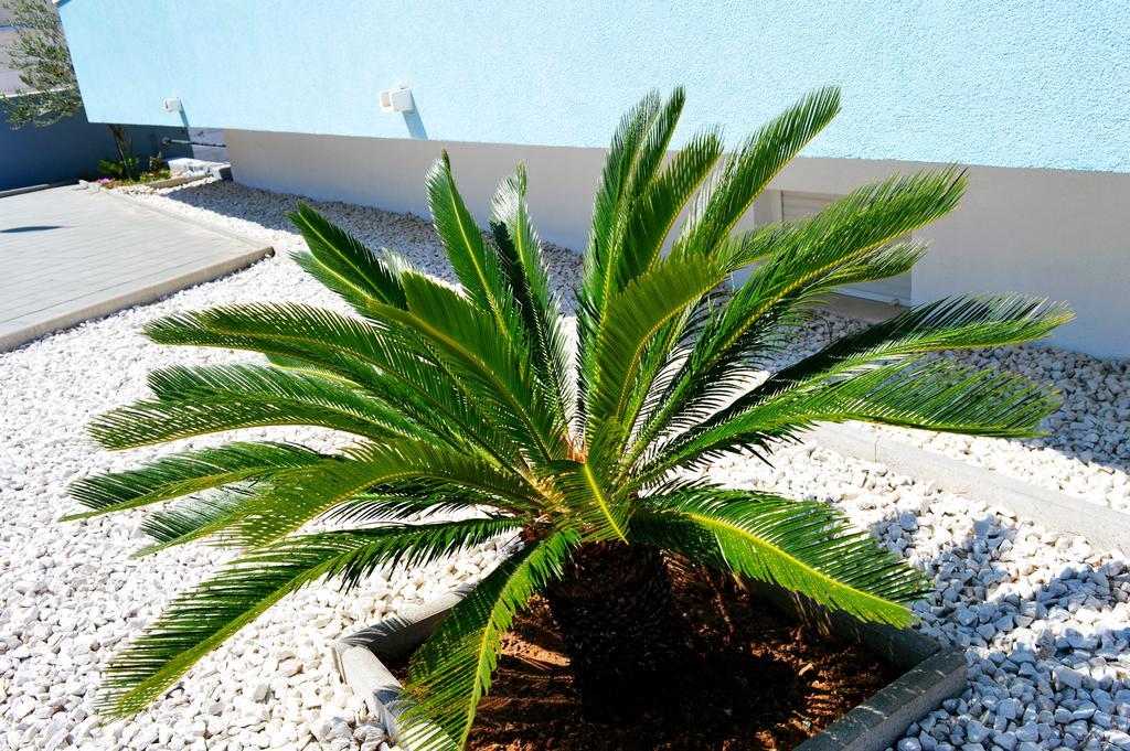 Permarinus Apartments ポドストラナ エクステリア 写真